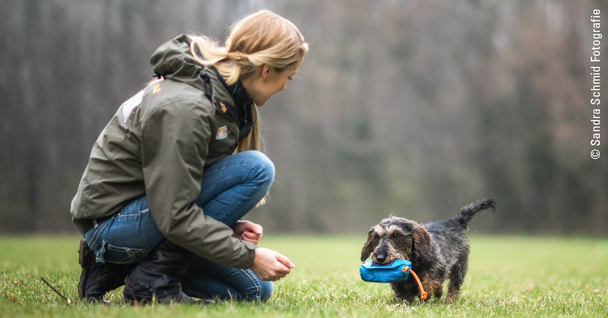 Gastbeitrag von Conny Sporrer, Inhaberin der Hundeschule „Martin Rütter DOGS Wien“: Typgerechtes Training und Beschäftigung  – warum Gassigehen alleine nicht reicht