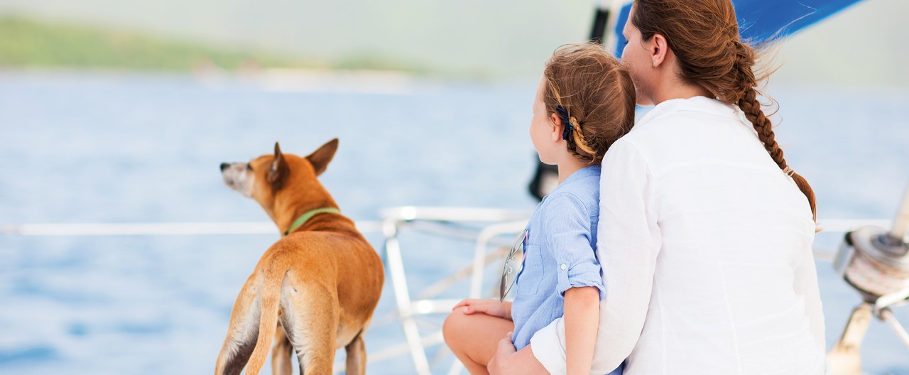 Schiff Ahoi: Segeln mit Hund an Bord