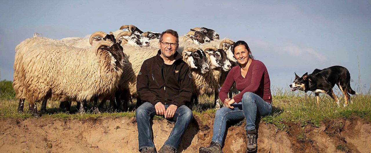 Interview mit Schaf-Land: Von Hunden, Schafen und höchst qualitativem Futter