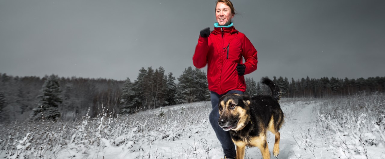 Übergewicht beim Hund – mit guten Vorsätzen in das neue Jahr 