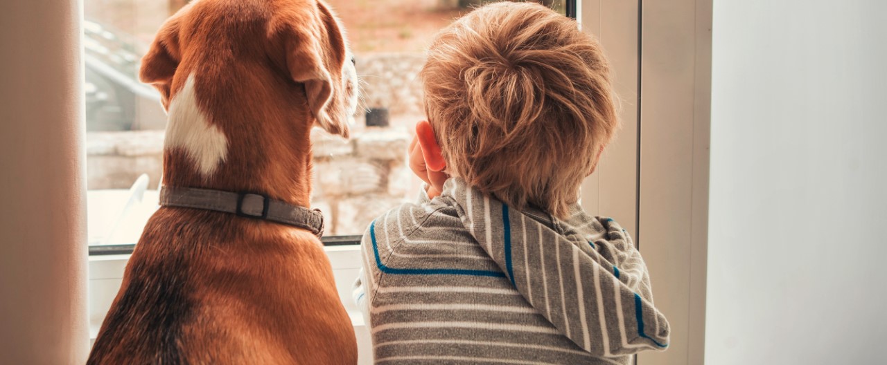 Vier Dinge, die wir von Hunden lernen können